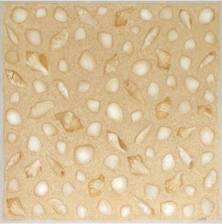 Cream Sea Shells Vinyl Floor Tile 36 Pc Self Adhesive   Actual 12 x