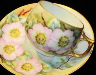 GERMANY ANTIQUE BAVARIA Artist Painted Dogwood TEA CUP AND SAUCER