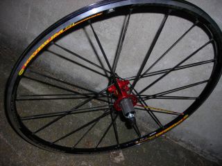 Mavic Ksyrium SL Rear Wheel, 2009, NEW Shimano or Compagnolo. FREE