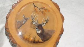 Deer Painting by Joe Lathrop