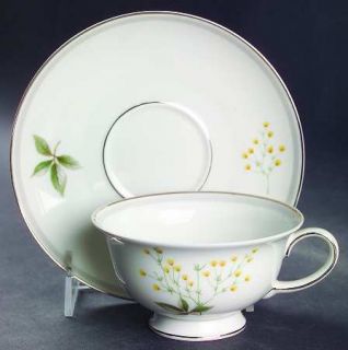 Rosenthal   Continental Melody Footed Cup & Saucer Set, Fine China Dinnerware  