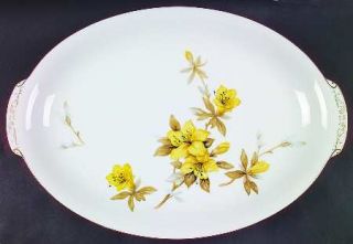 SC Japan Hibiscus 16 Oval Serving Platter, Fine China Dinnerware   Yellow Flowe