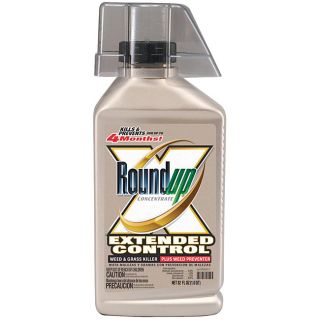 Roundup Extended Control Weed   Grass Killer (32 Oz)