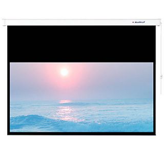 Redleaf 16:9 Screen 180 Inch White Plastic Bead Electric Screen Projection