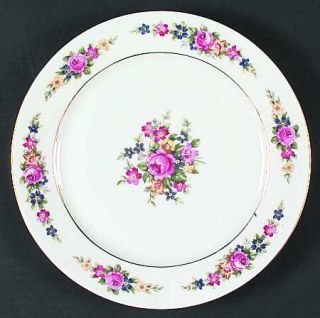 Czechoslovakia Carmen, The Dinner Plate, Fine China Dinnerware   Multicolor Flor
