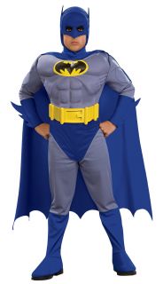 Brave Bold Deluxe Batman Toddler / Child Costume